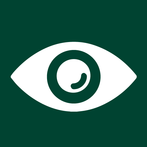 Fake Government Website